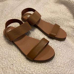Steve Madden Brown Leather Sandal
